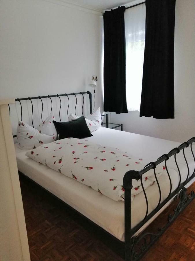 Apartment Froschkoenig Gladenbach ภายนอก รูปภาพ